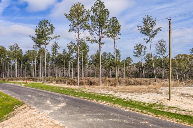 135 Beagle Chase Drive, Appling, GA 30802