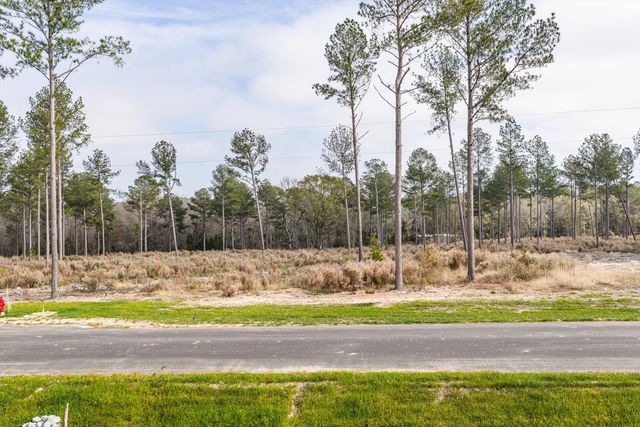 135 Beagle Chase Drive, Appling, GA 30802