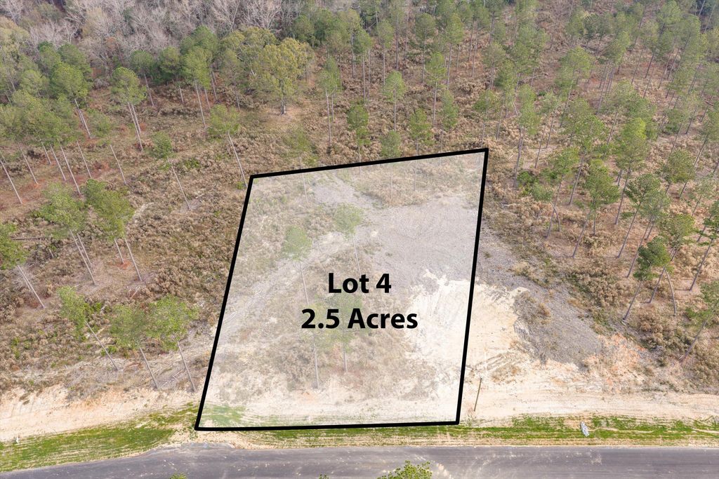 135 Beagle Chase Drive, Appling, GA 30802