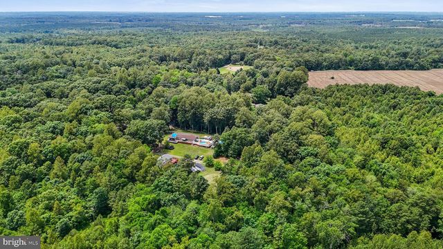 DRY BRIDGE RD, Ruther Glen, VA 22546