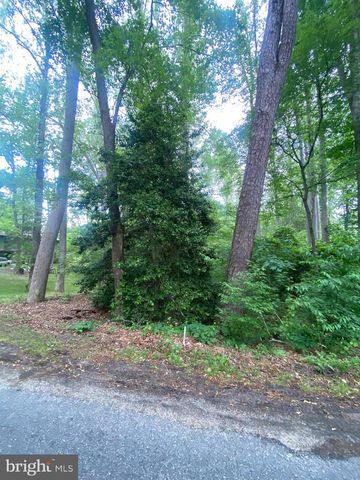 DRY BRIDGE RD, Ruther Glen, VA 22546