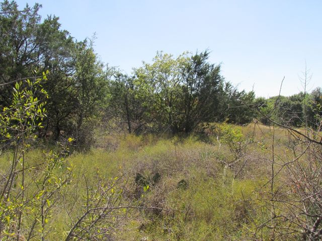 Lot 118 Stonebridge Drive, Weatherford, TX 76085