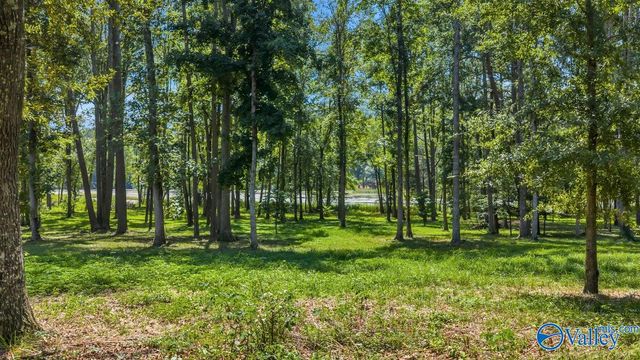 321 Carlton Road, Scottsboro, AL 35769