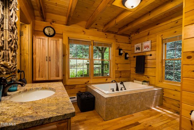 170 Ripshin Lake Road, Roan Mountain, TN 37687