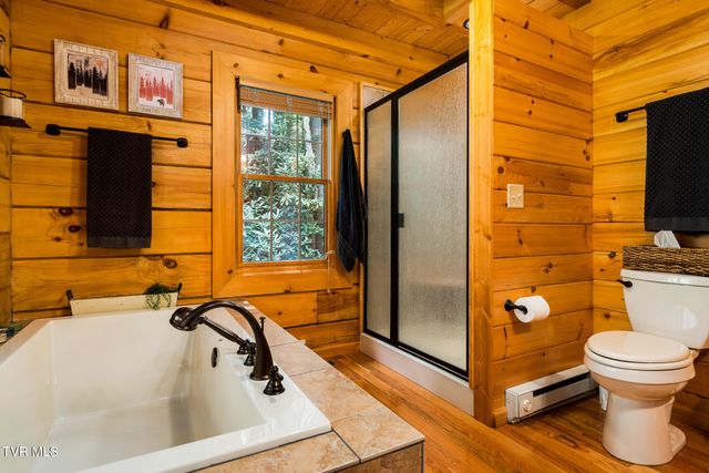 170 Ripshin Lake Road, Roan Mountain, TN 37687