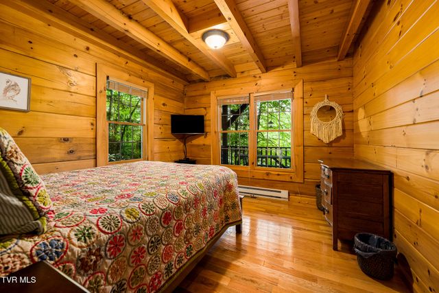 170 Ripshin Lake Road, Roan Mountain, TN 37687