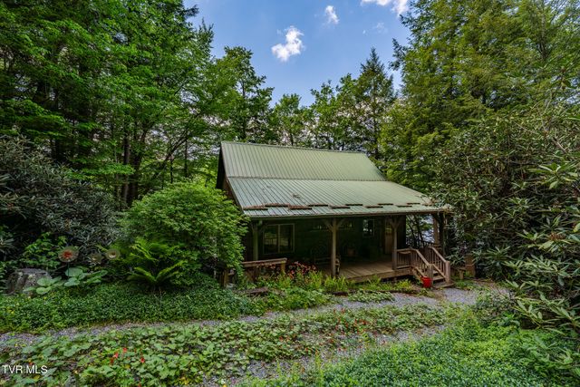 170 Ripshin Lake Road, Roan Mountain, TN 37687