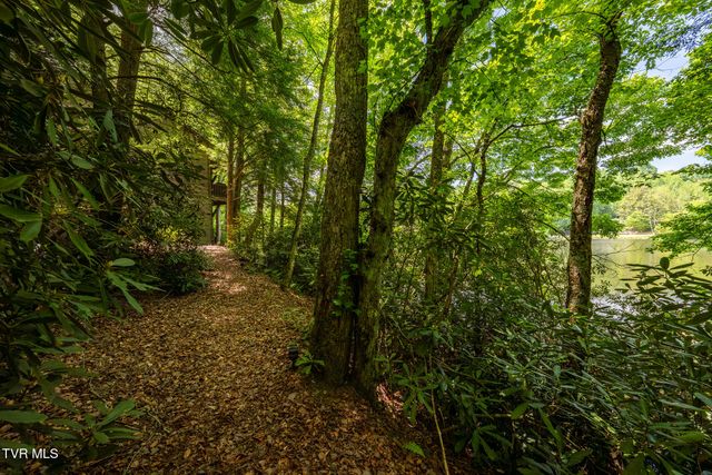 170 Ripshin Lake Road, Roan Mountain, TN 37687