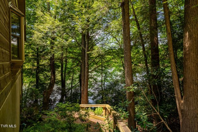 170 Ripshin Lake Road, Roan Mountain, TN 37687
