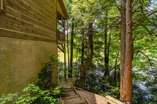 170 Ripshin Lake Road, Roan Mountain, TN 37687