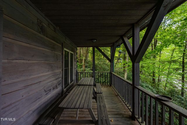 170 Ripshin Lake Road, Roan Mountain, TN 37687