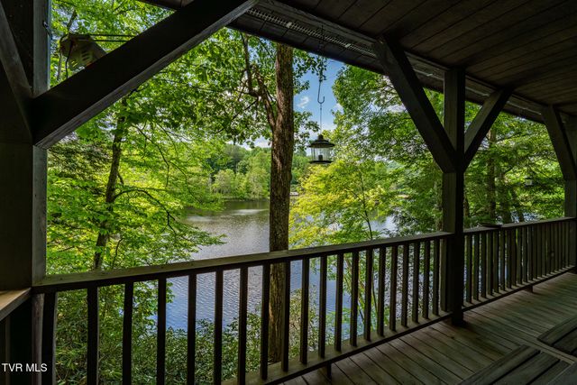 170 Ripshin Lake Road, Roan Mountain, TN 37687