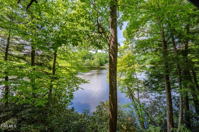 170 Ripshin Lake Road, Roan Mountain, TN 37687