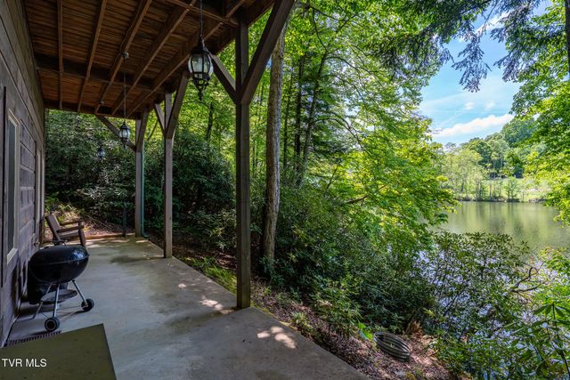 170 Ripshin Lake Road, Roan Mountain, TN 37687