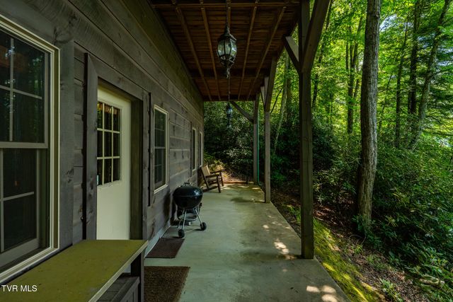 170 Ripshin Lake Road, Roan Mountain, TN 37687