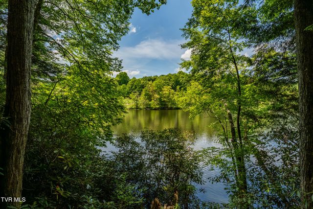170 Ripshin Lake Road, Roan Mountain, TN 37687