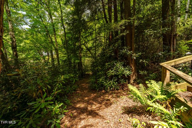 170 Ripshin Lake Road, Roan Mountain, TN 37687