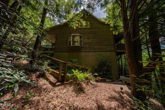 170 Ripshin Lake Road, Roan Mountain, TN 37687