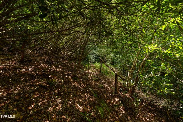 170 Ripshin Lake Road, Roan Mountain, TN 37687