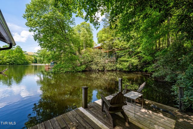 170 Ripshin Lake Road, Roan Mountain, TN 37687