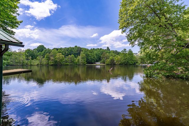 170 Ripshin Lake Road, Roan Mountain, TN 37687