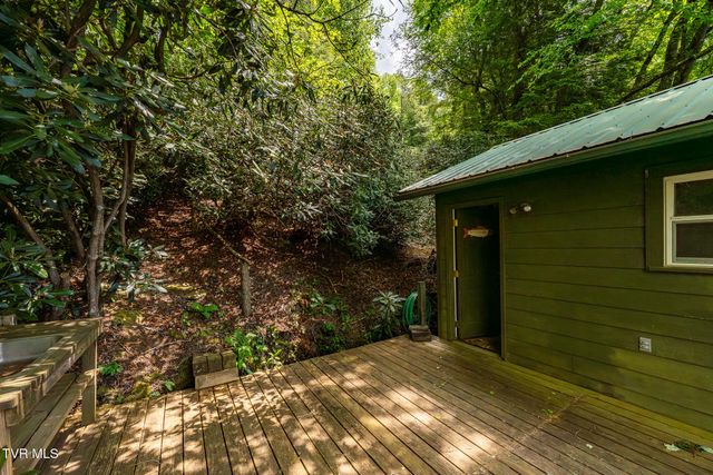 170 Ripshin Lake Road, Roan Mountain, TN 37687