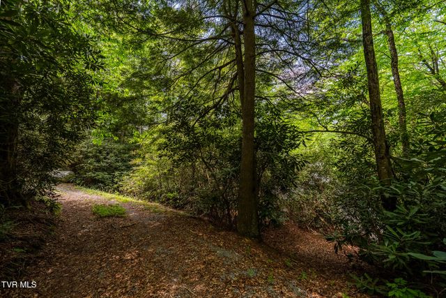 170 Ripshin Lake Road, Roan Mountain, TN 37687