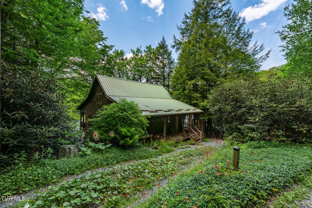 170 Ripshin Lake Road, Roan Mountain, TN 37687