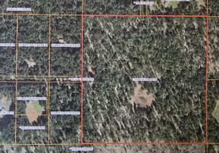 1195 Idlewild Drive, Cave Junction, OR 97523