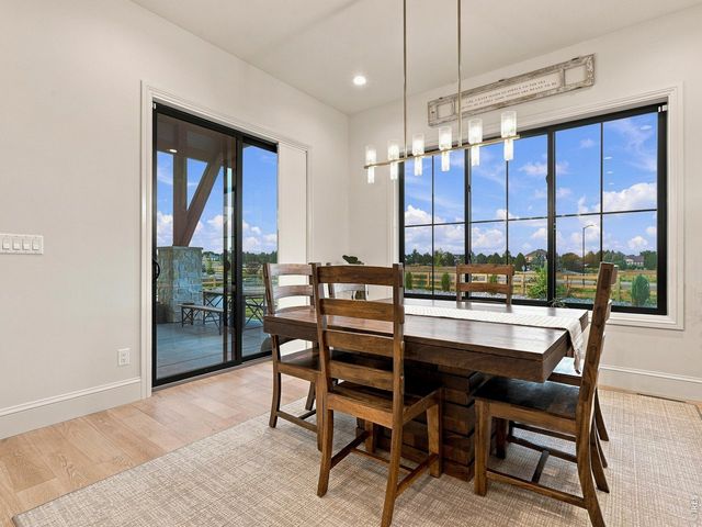 951 Warbling Dr, Windsor, CO 80550
