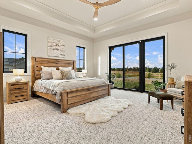 951 Warbling Dr, Windsor, CO 80550