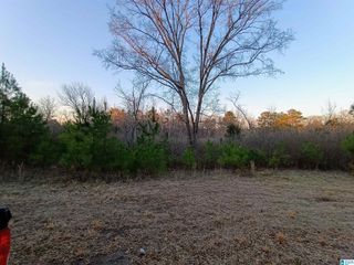 00 COMERDALE ROAD, Sylacauga, AL 35150