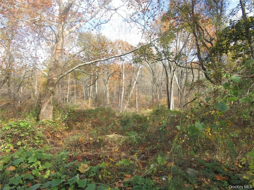 3766 Foothill Street, Mohegan Lake, NY 10547