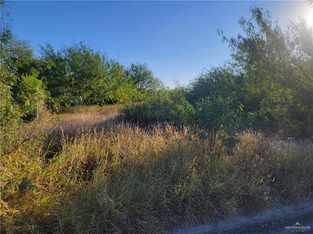 2011 Tiffany Street, Mission, TX 78573