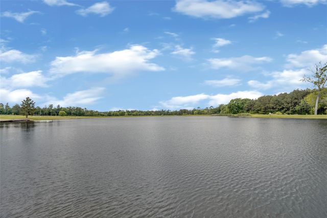 10681 Ruger Road, Willis, TX 77378