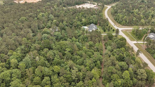 10681 Ruger Road, Willis, TX 77378