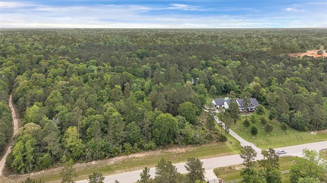 10681 Ruger Road, Willis, TX 77378
