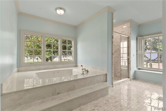 20467 Old Jasper Road, Northport, AL 35475