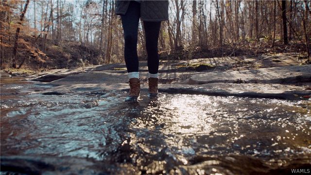 20467 Old Jasper Road, Northport, AL 35475