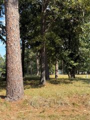 0 Peach Point Lane Lane, Trinity, TX 75862