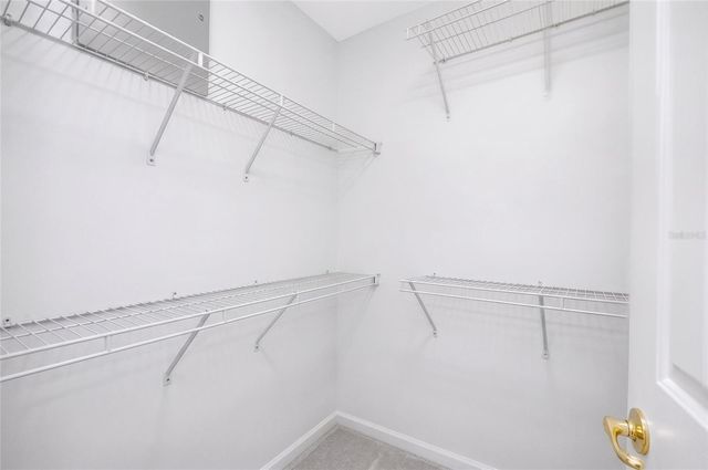 8919 N RIVER ROAD, Tampa, FL 33635