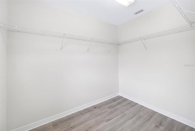 8919 N RIVER ROAD, Tampa, FL 33635