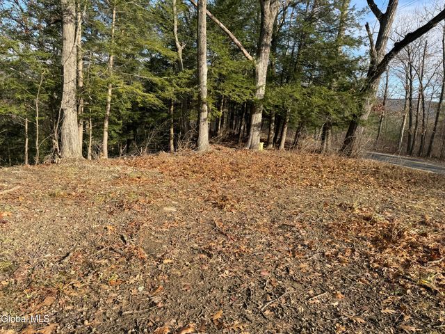 4711 Pattersonville-Rynex Corners Road, Princetown, NY 12137