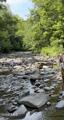 4711 Pattersonville-Rynex Corners Road, Princetown, NY 12137