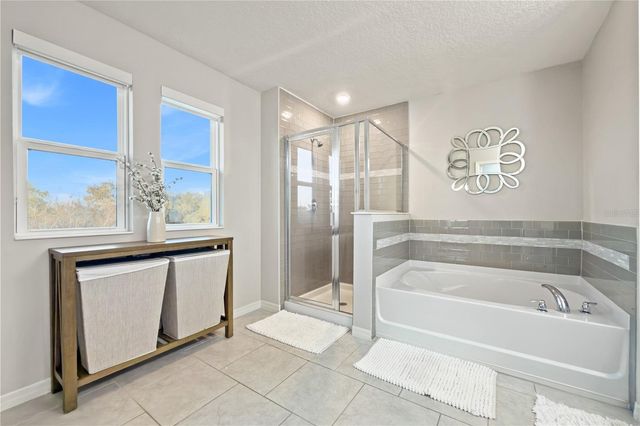 3035 IRISH PEACH DRIVE, Winter Garden, FL 34787