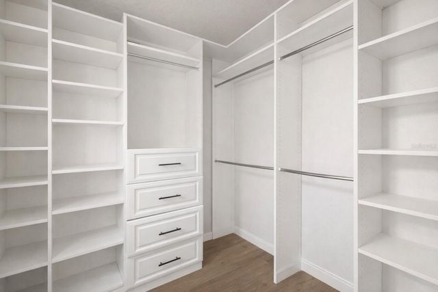 3035 IRISH PEACH DRIVE, Winter Garden, FL 34787