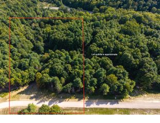 Lot #4 E Bellinger Road, Cedar, MI 49621