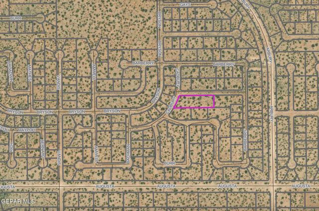 PN333474 Cadbury Drive, Horizon City, TX 79928