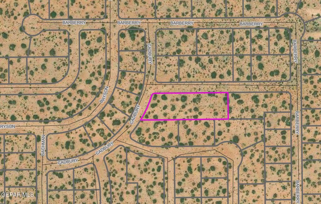 PN333474 Cadbury Drive, Horizon City, TX 79928