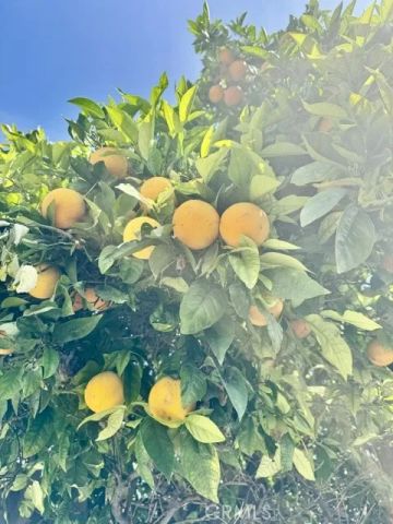 904 E Stockton, Compton, CA 90221